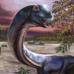 Field with a large number of dinosaur tracks