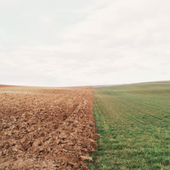 Мінагрополітики озвучили мінімальну вартість гектару чорнозему