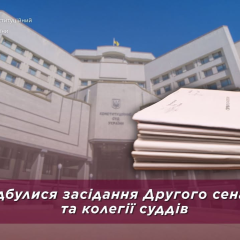 Второй сенат рассматривает конституционные жалобы