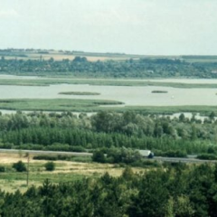 Угорщина, озеро Веленце, обміліле озеро