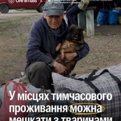 Животные в эвакуации во время запрета