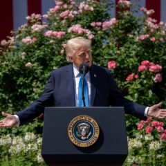 Трамп попередив про міграційну кризу в США
