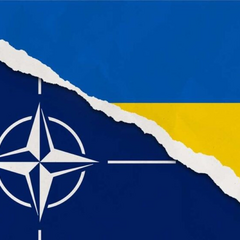 Обзор совместного центра НАТО-Украина в Польше