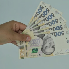 Person counting money for retirement