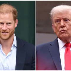 Трамп ответил принцу Гарри