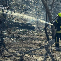 Пошкоджені будинки та загиблі люди