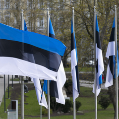 Українські біженці в Естонії