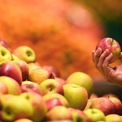 Ціна яблук українців на всі часи