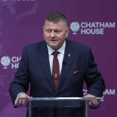 Zaluzhny speaking English for the first time