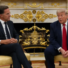 Трамп описывает Зеленского как смелого