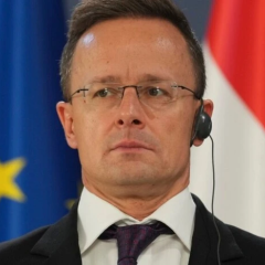 Hungarian minister disappears after elections
