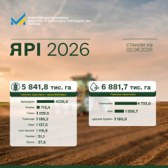 97% of grain crops sown in Ukraine