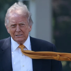 Трамп объяснил влияние финансов на политику