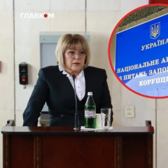 Проверка декларации эксглавы МСЭК