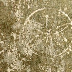 Mystery of 'crop circles' in England revealed