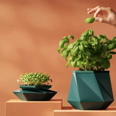 Helix pot for plant repotting