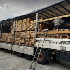 Дубовий ліс в контрабанді у Києві