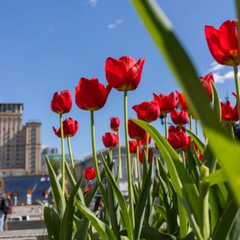 Синоптики прогнозують зміни погоди