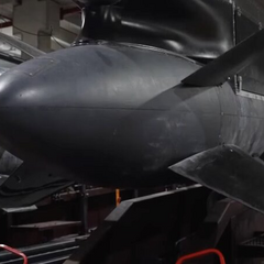 Ukrainian Flamingo - a missile in the video
