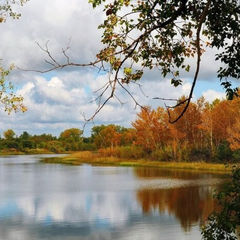 Погода українською мовою