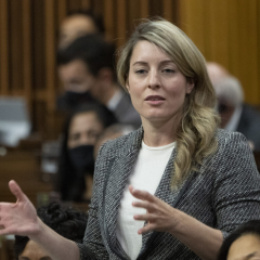 Зображення гранати та патронів