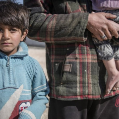 Фото лісу кордону Польщі та Білорусі