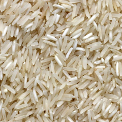 Rice reveals secret of self-changing material