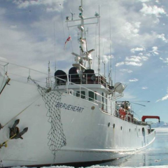 Рекордные 20 градусов антарктического тепла