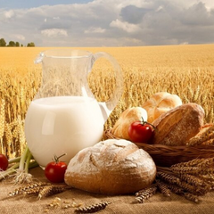 Ціни на продукти в червні: де купити олію, хліб та молоко