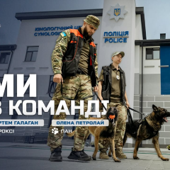 Возвращение раненых кинологов с овчарками