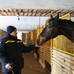 Психологи допомагають рятувальникам Рівного: іпотерапія