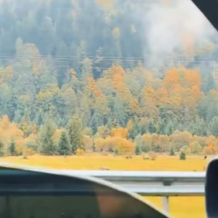 Environmental destruction due to war in Ukraine