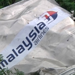 Катастрофа малайзійського літака від Росії