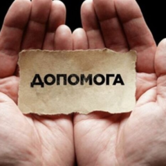 Схема роботи спеціальної програми адаптації переселенців