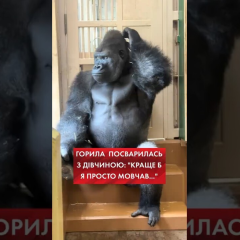 Обманутое видео после ссоры в Японии