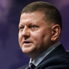Біографія Залужного генерала, цікаві факти