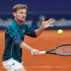 Photo of David Goffin playing tennis