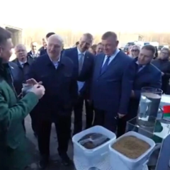 Biotech corporation employee eats fish food in front of Lukashenko