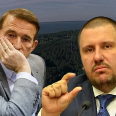 Returned forest near Kyiv