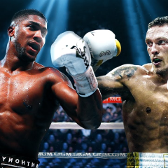 Усик і Джошуа під час поєдинку