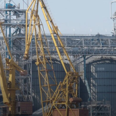 Експорт агропродукції України наростає