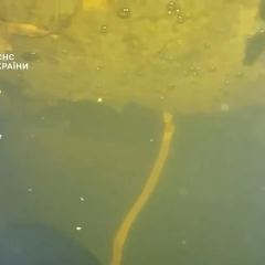 Водолази ДСНС виконують операцію з порятунку ТЕЦ