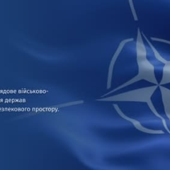 Scheme of NATO alliance member states
