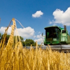 Девальвация гривны: преимущество для одного из ключевых секторов украинской экономики
