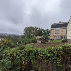 До 6 видів дерев у чорному списку