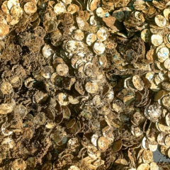 Largest Viking treasure found in Finland