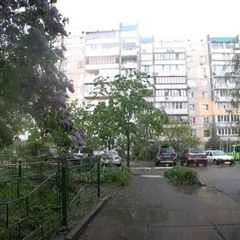 Прогноз дождей в 4 областях