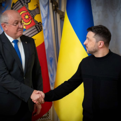 Практические советы по садоводству и выращиванию овощей