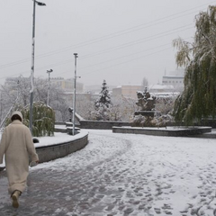 Снежный пейзаж под ясным солнцем