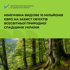 Німеччина підтримує букові праліси